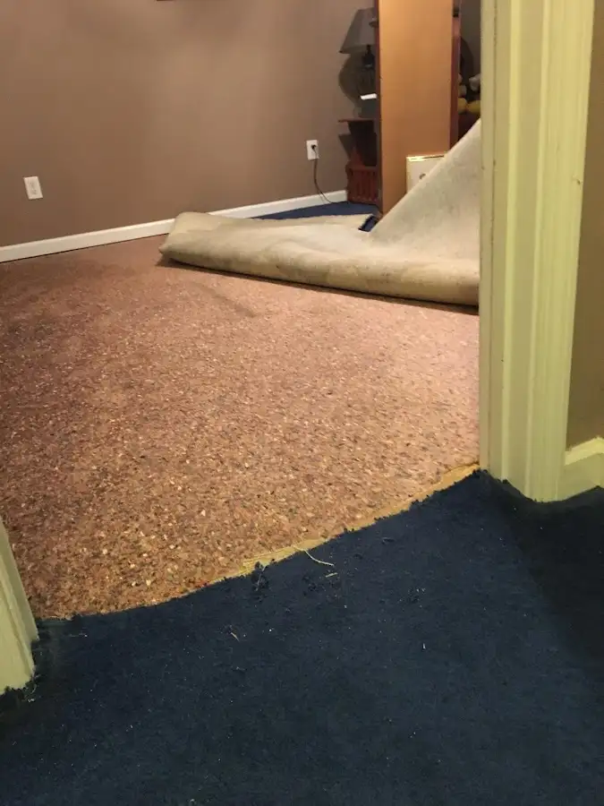 Carpet pad removal revealing water damage during Drying & Dehumidification in Columbia